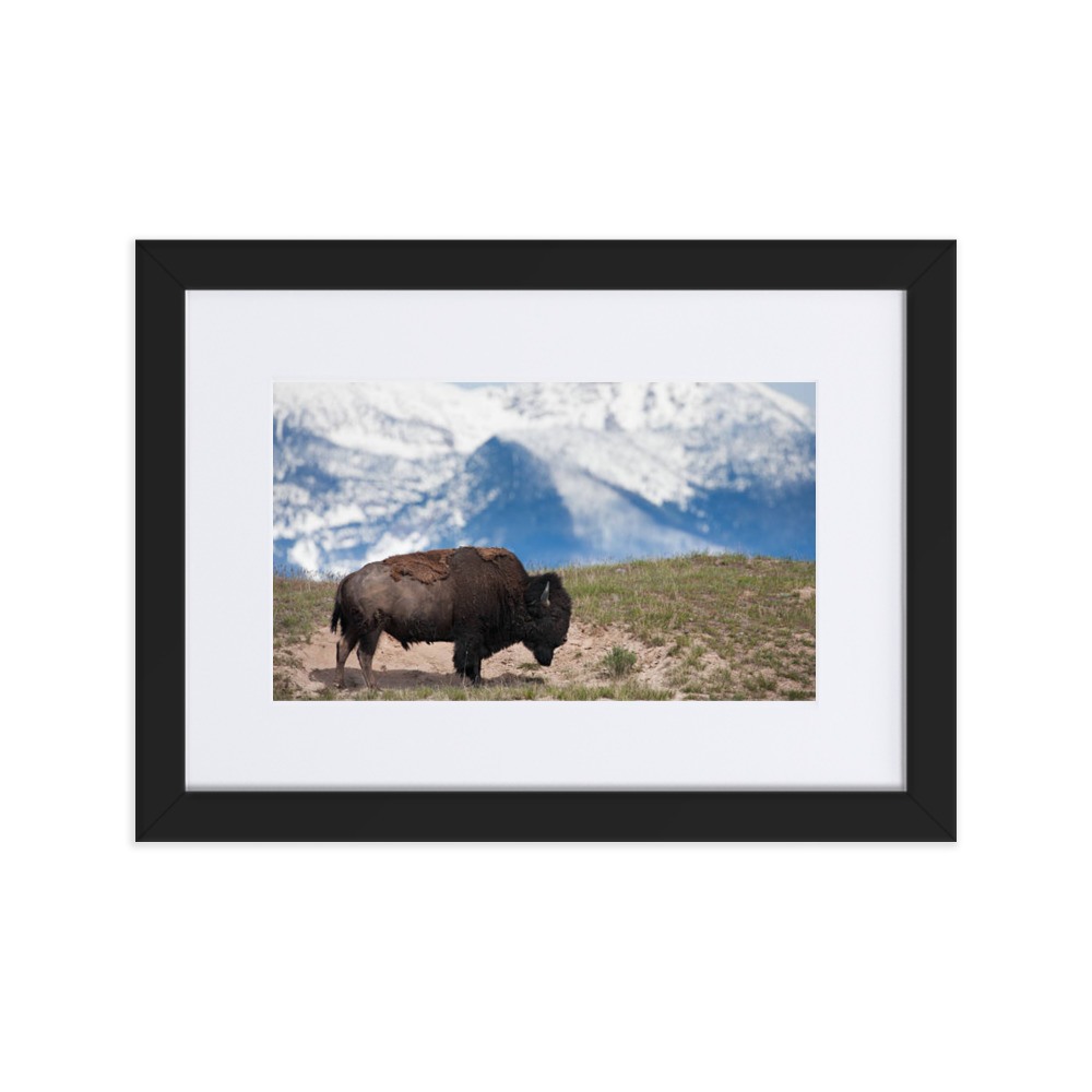 Framed Matte Poster - Montana Beyond