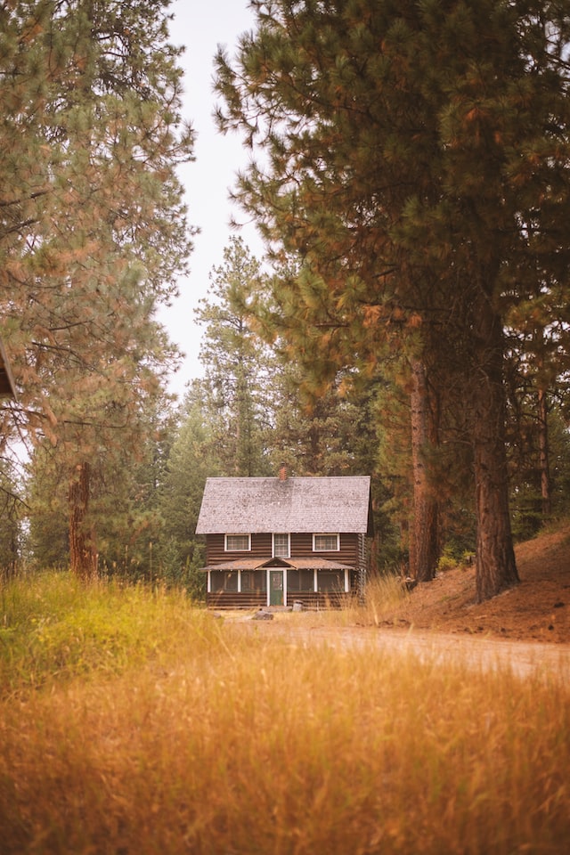 cabin paradise valley montana