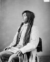 native american hairstyles dreads