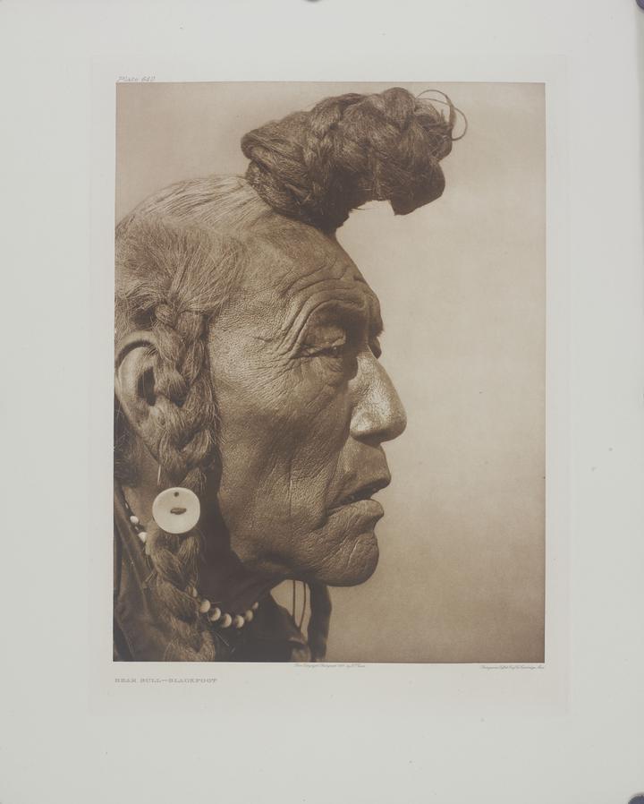 native american hairstyles topknot