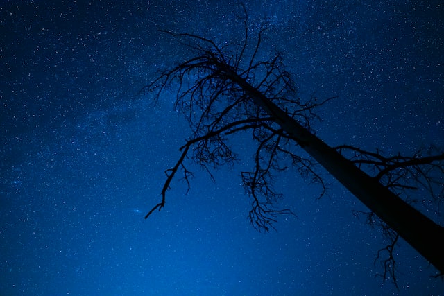 montana sky at night paradise valley