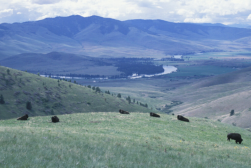 national bison range in montana scenic drive