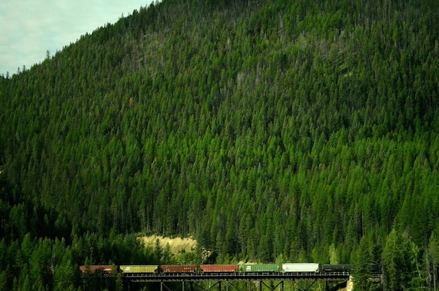 dillon montana train