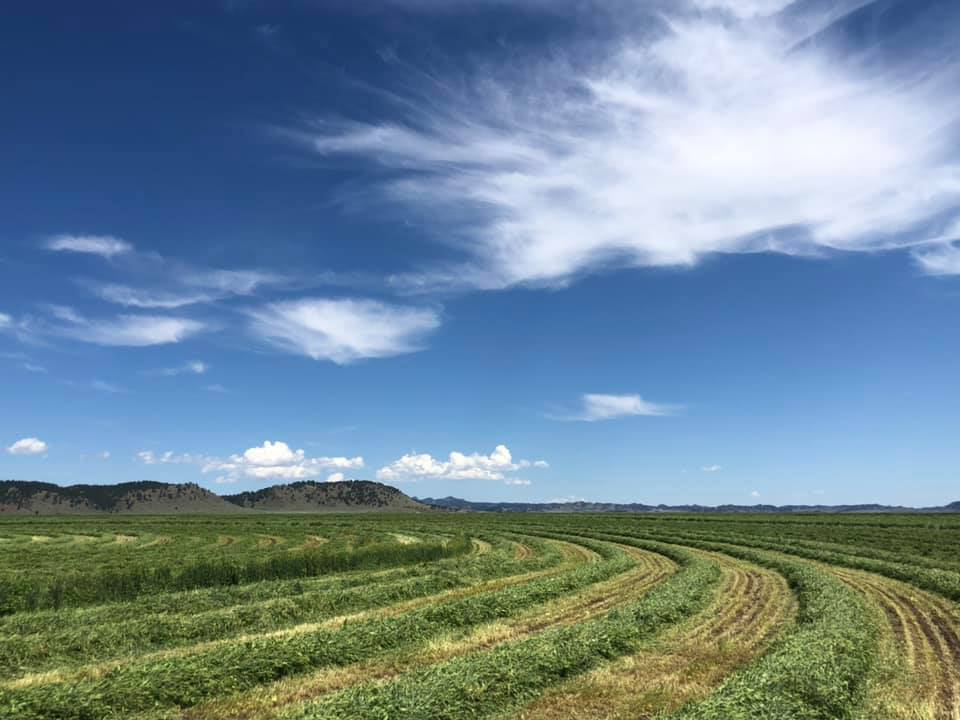 These are the 10 largest ranches in Montana Montana Beyond