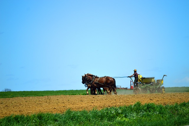 amish montana farm technology