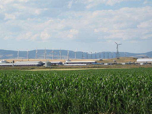 hutterites montana colony farm