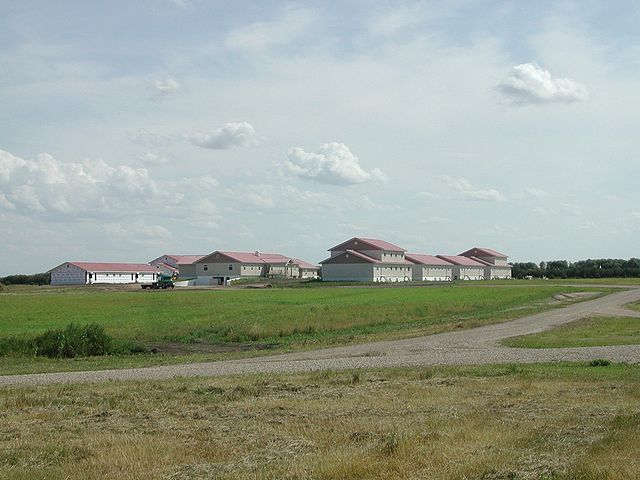 hutterites montana colony