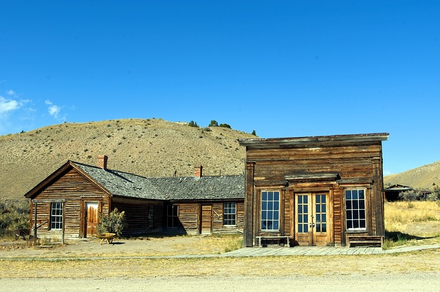 montana movies the ballad of lefty brown