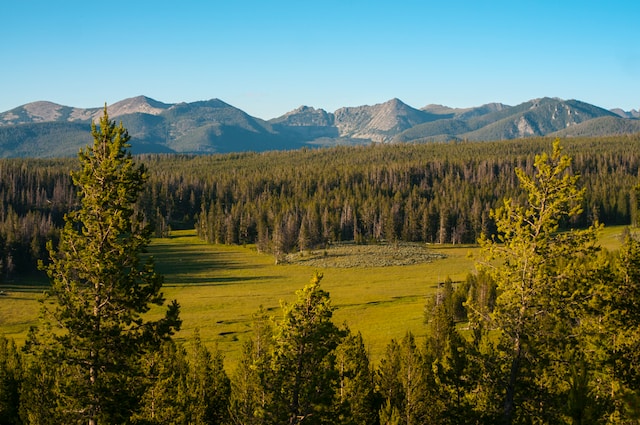 montana nicknames mountain state