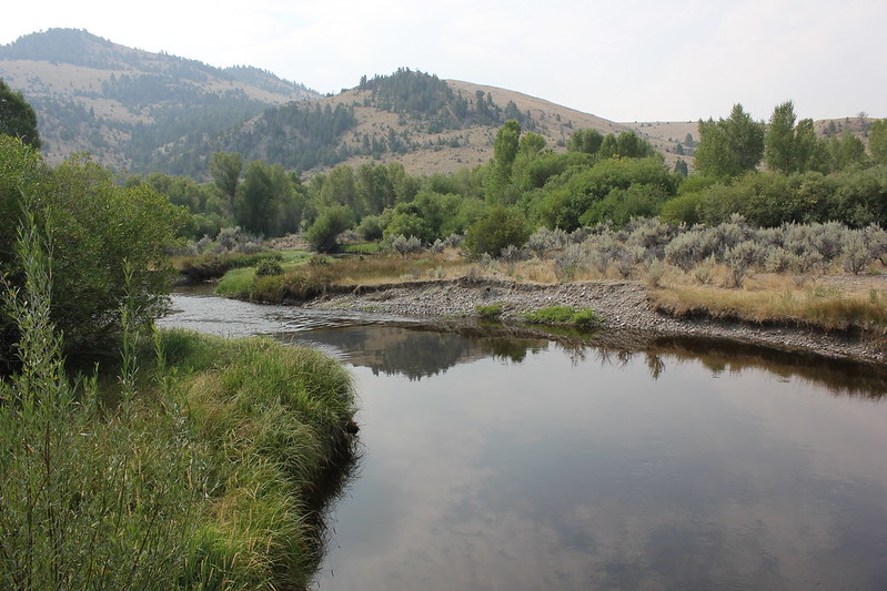 dillon montana history grasshopper creek