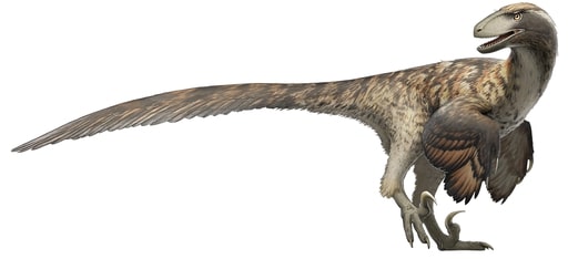 were there dinosaurs in montana deinonychus