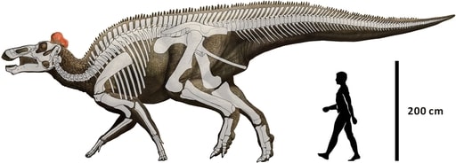 were there dinosaurs in montana edmontosaurus