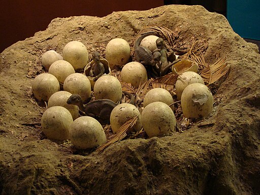 were there dinosaurs in montana maiasaura nest