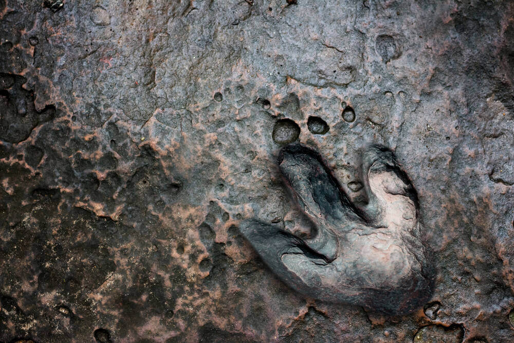 Were there dinosaurs in Montana? [PHOTOS] Montana Beyond