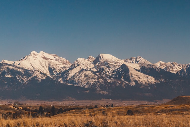 what is the history of bison in montana bison range