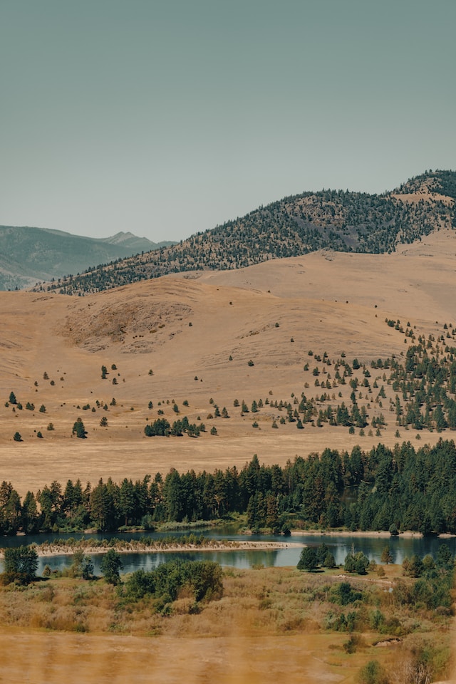 what is the history of bison in montana range land