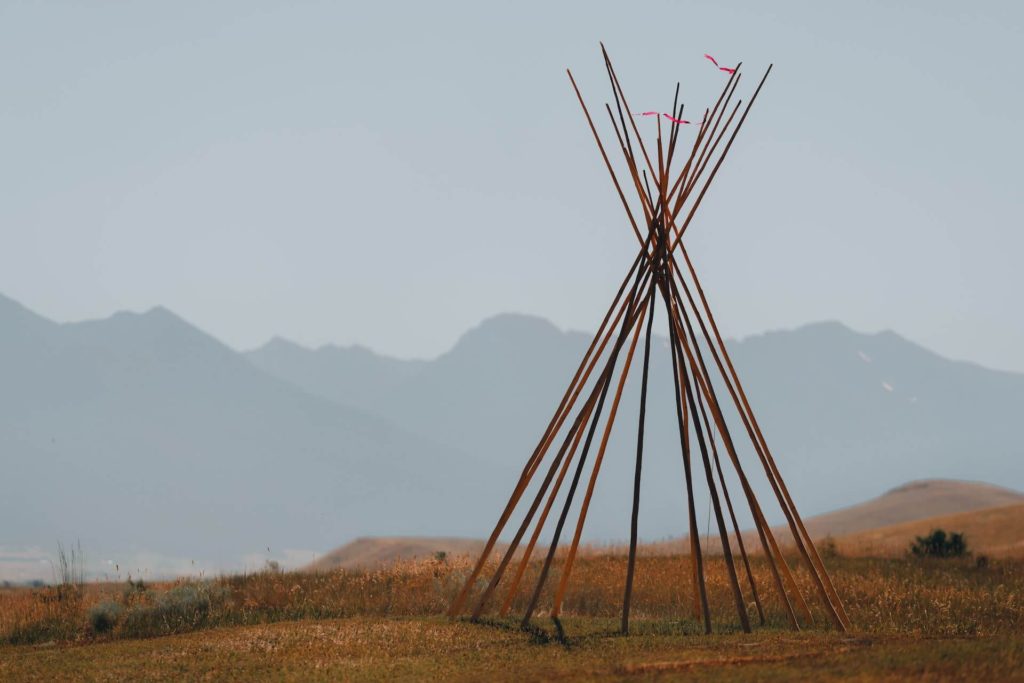 what is the history of bison in montana tipi