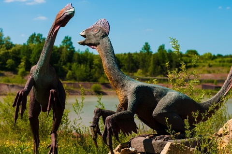 why does montana have so many dinosaurs horner dinosaurs