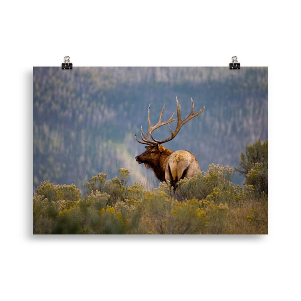 Thick Matte Poster - Montana Beyond