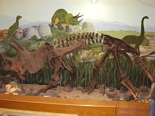 Montana dinosaur trail garfield county museum