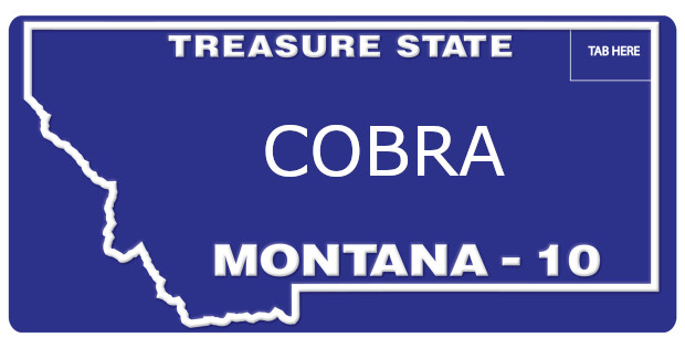 banned montana license plates 20