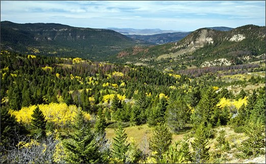 montana scenic drives kings hill scenic byway