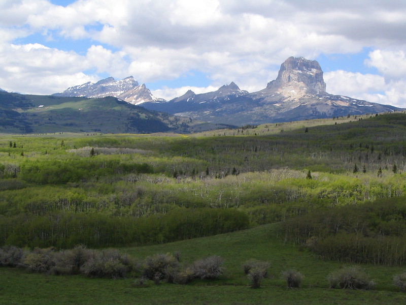 blackfeet indian reservation chief mountain