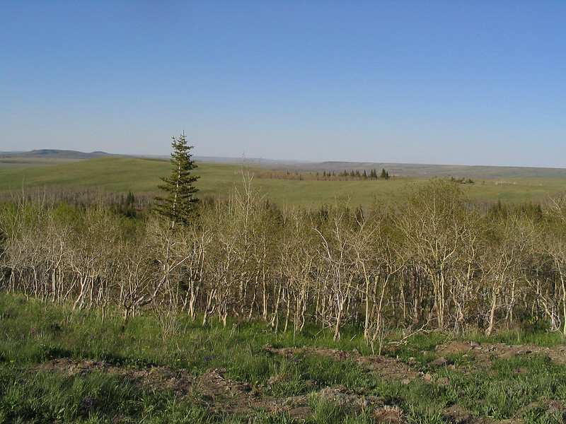 blackfeet indian reservation tribal lands