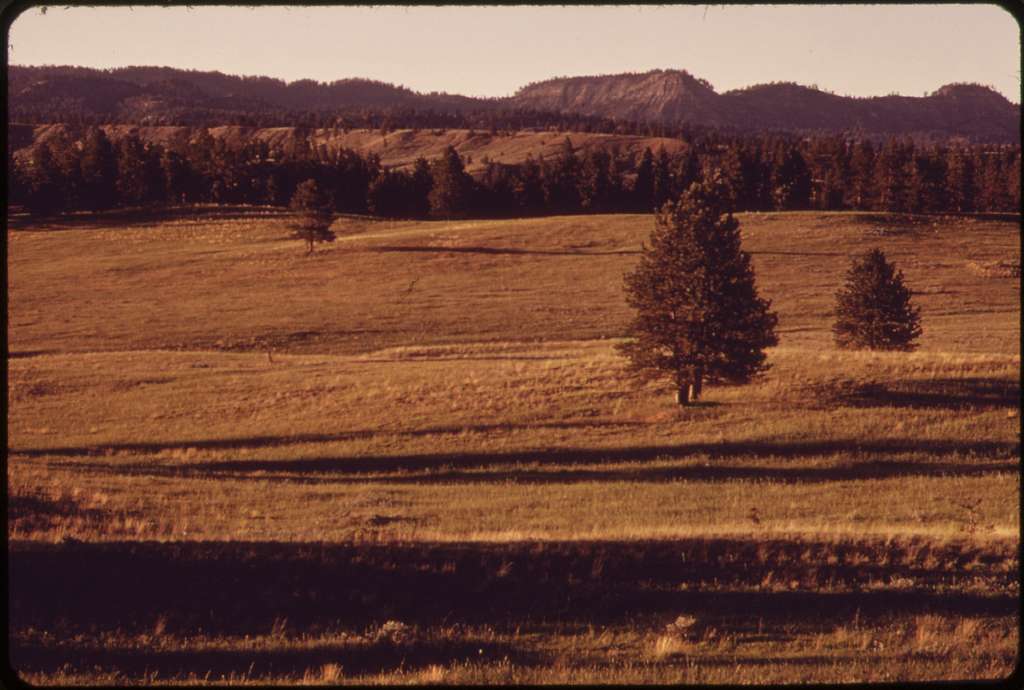 crow indian reservation northern cheyenne neighbor