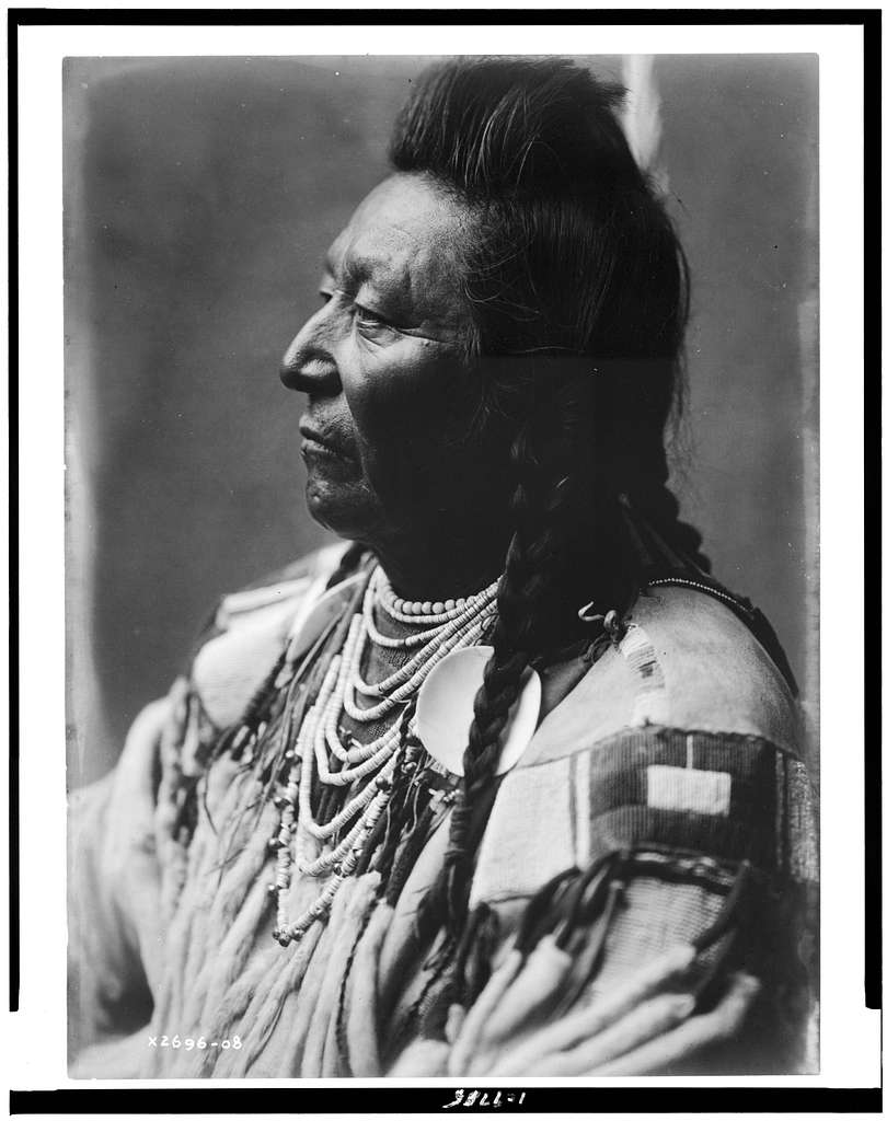 history of crow indian tribe plenty coups