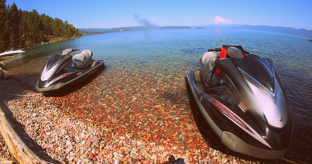 how to get to wild horse island montana