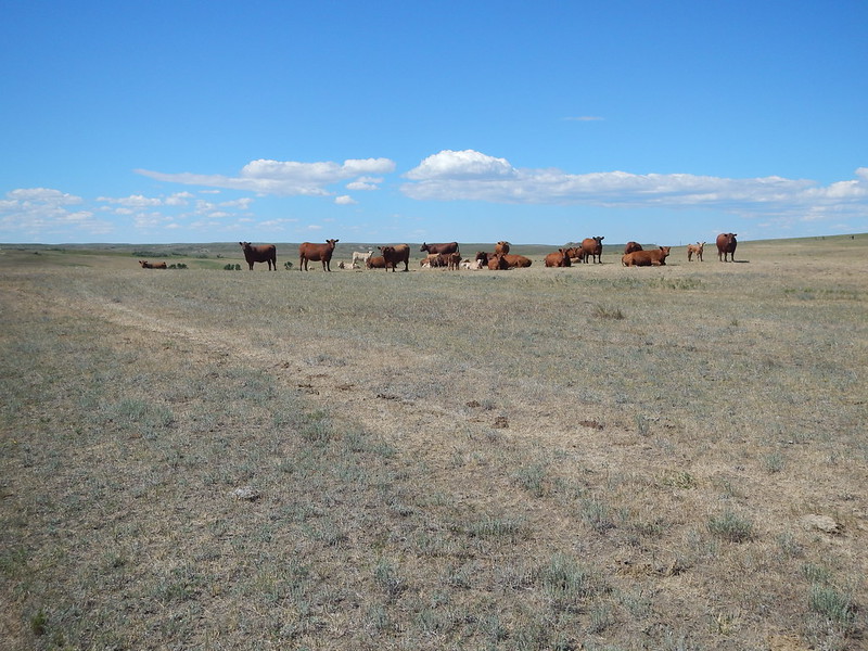 is montana rich in natural resources rangeland