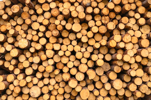 is montana rich in natural resources timber