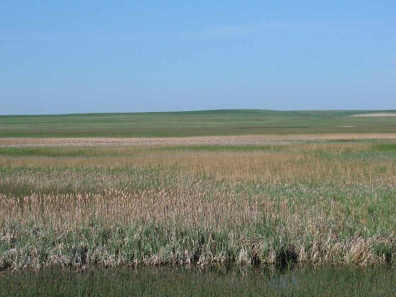 montana ufo great falls prairie