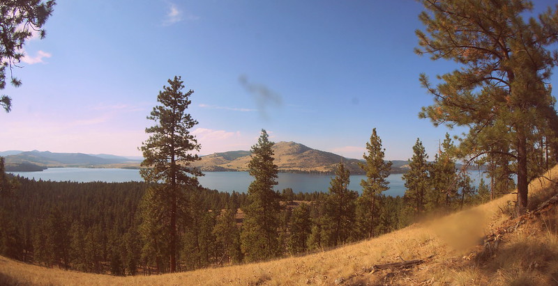 wild horse island montana history