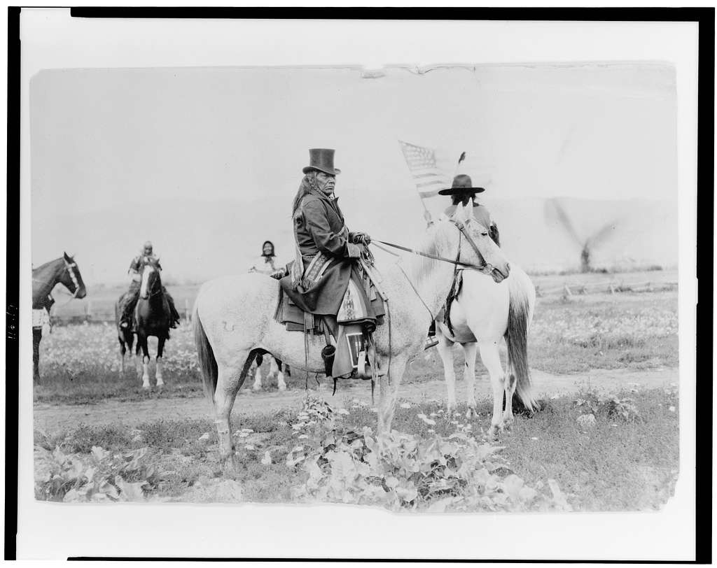 bitterroot salish history horses